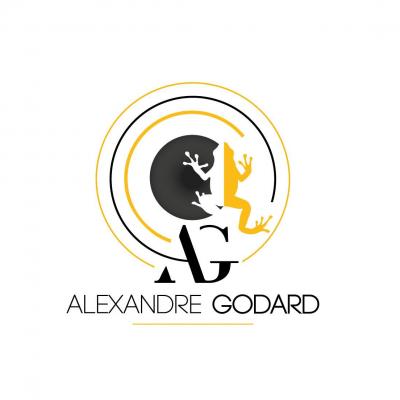 Alexandre godard